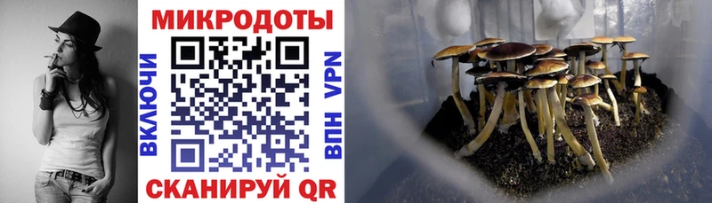 Галлюциногенные грибы мицелий Кущёвская