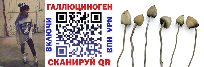 Псилоцибиновые грибы мухоморы  продажа наркотиков  Кущёвская 